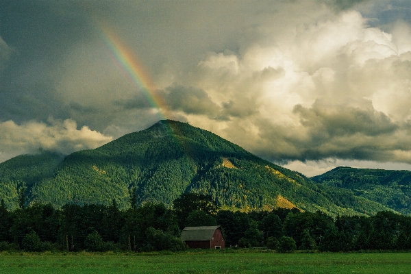 Landscape tree nature mountain Photo