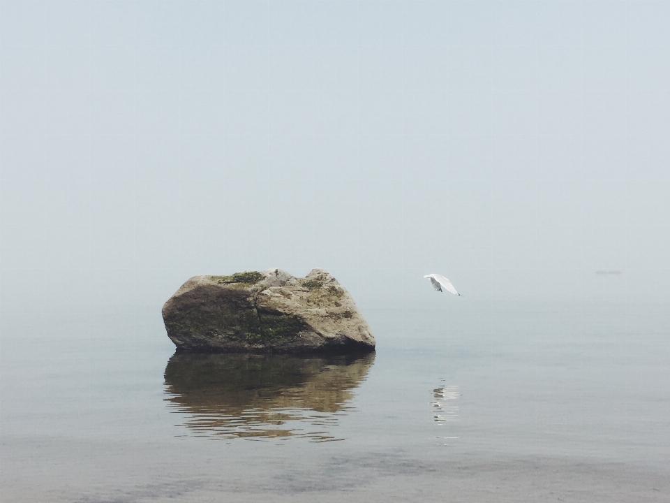 Pantai laut pesisir air