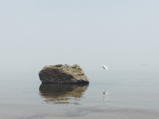 Beach sea coast water Photo