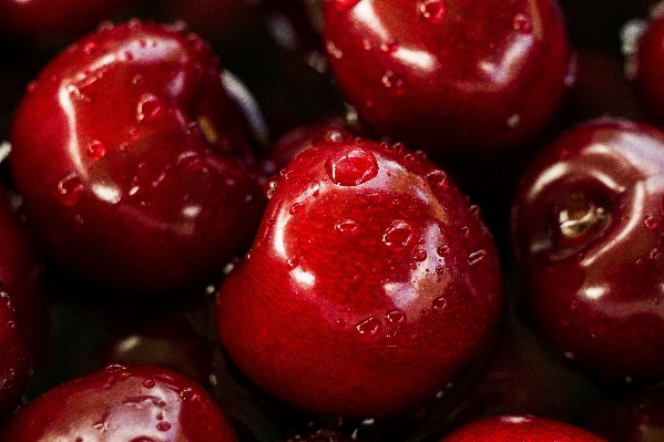 Plant fruit berry water drop Photo