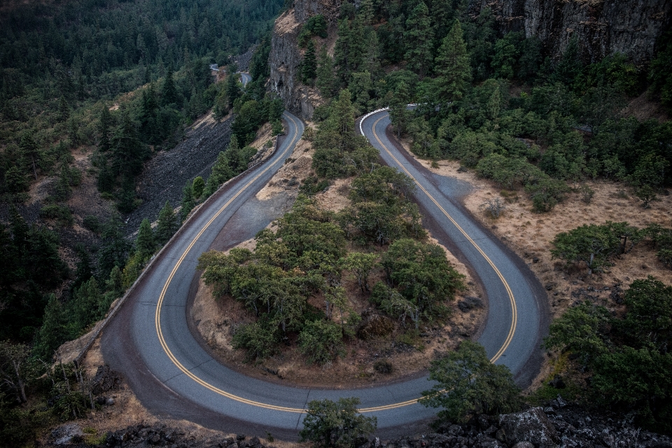 Baum straße hügel autobahn