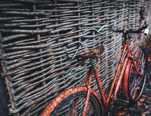 Bicycle bike rust vehicle Photo