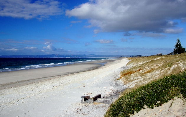 Beach sea coast sand Photo