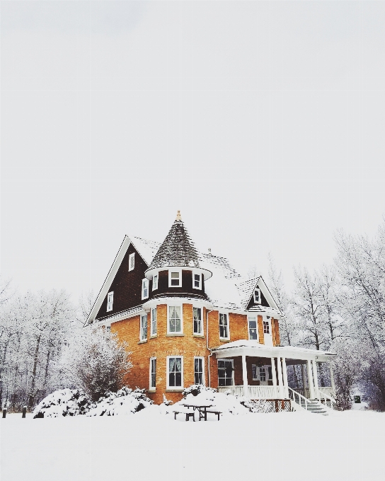 Albero nevicare inverno casa