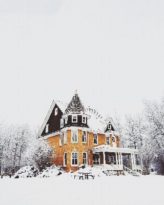 Foto Albero nevicare inverno casa