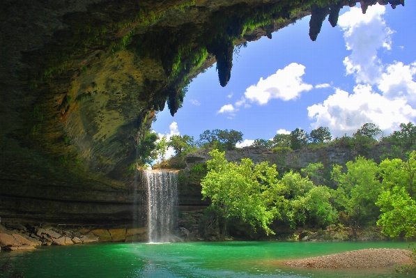 Foto árvore cachoeira formação reflexão