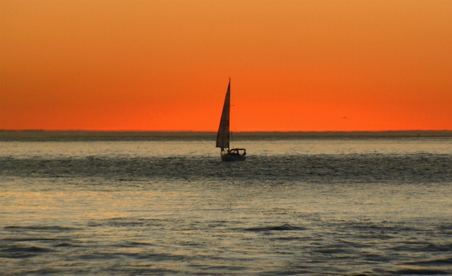 Beach sea coast ocean Photo