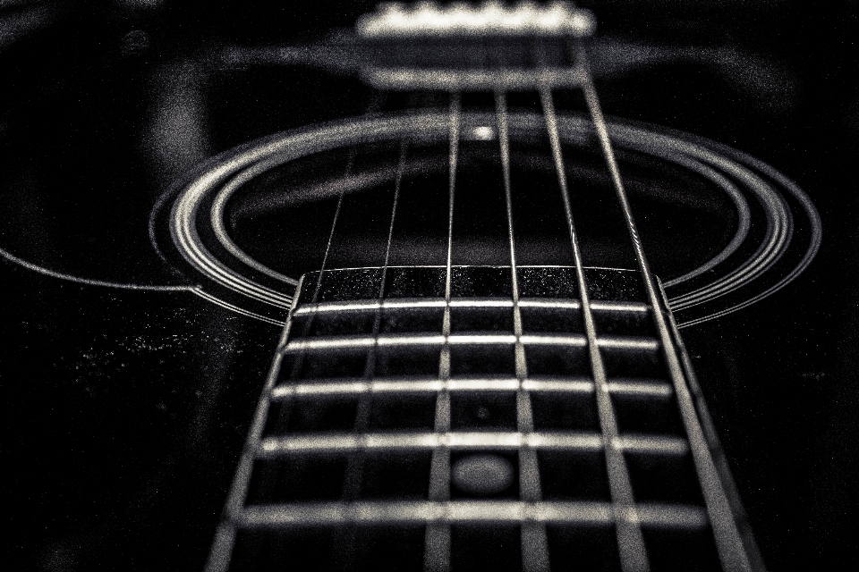 Guitar bass black and white