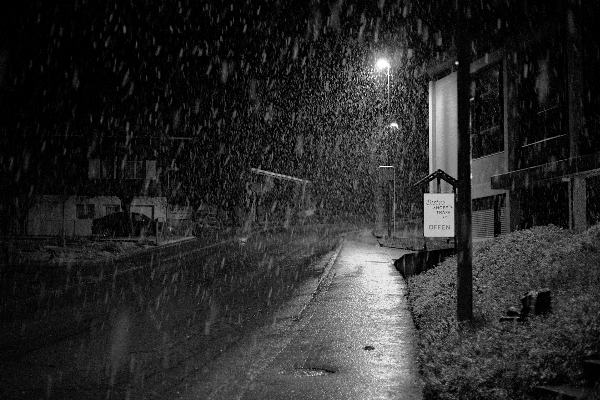 雪 ライト 黒と白
 白 写真