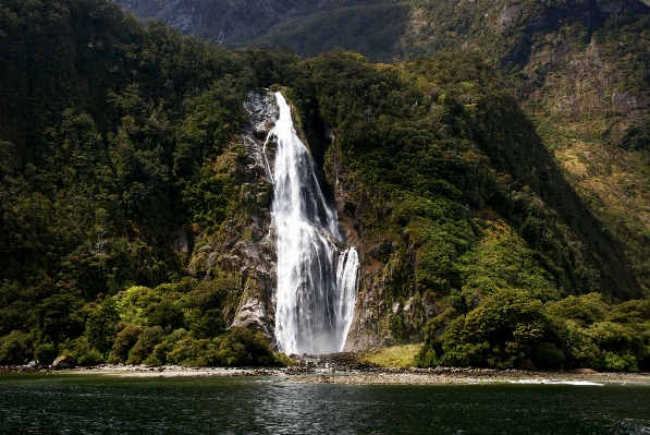 Landscape water nature forest Photo