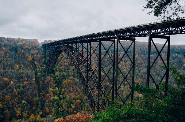 木 森 建築 橋 写真