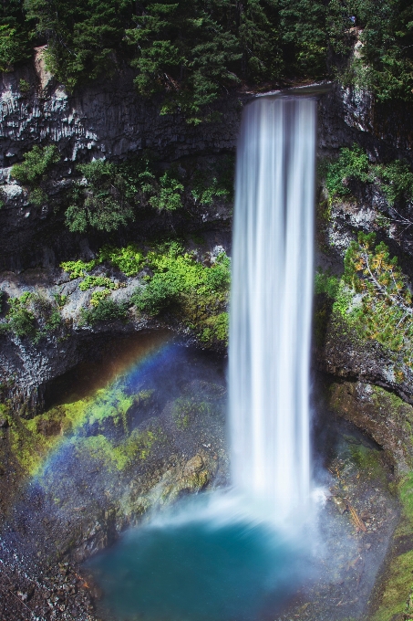 Air hutan terjun batu