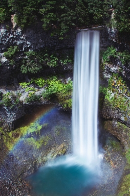 Foto água floresta cachoeira pedra