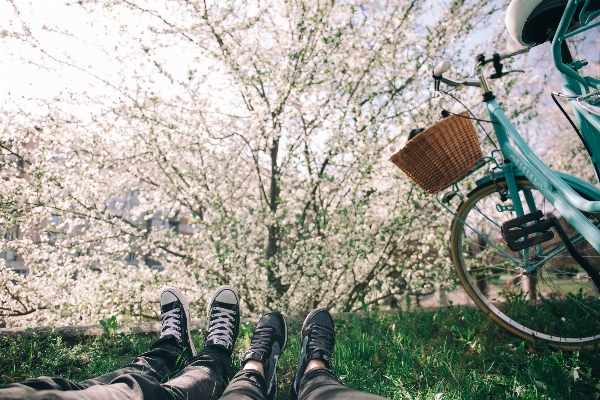 花 植物 フィート 自転車 写真