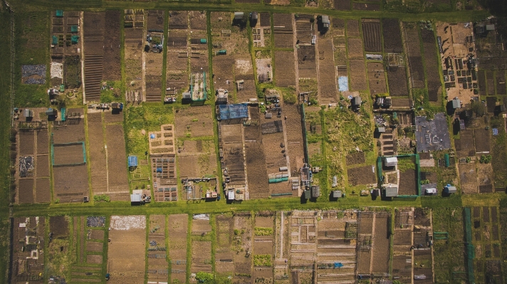 Foto Pohon rumput luar ruangan rumah besar
