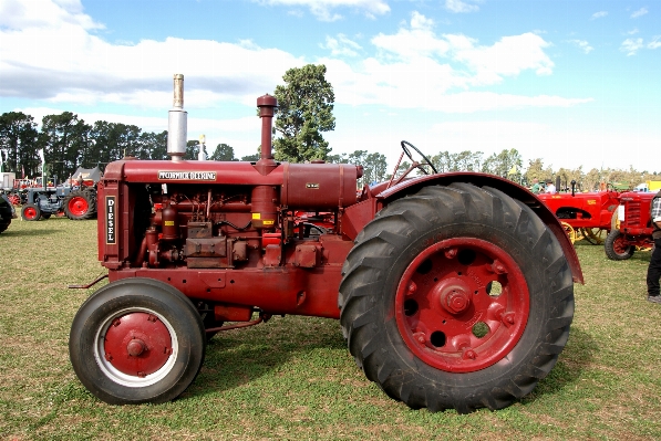 Foto Traktor bidang peternakan roda