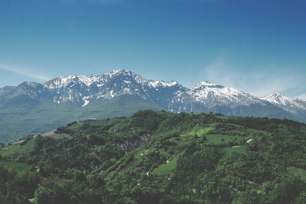 森 山 雪 丘 写真