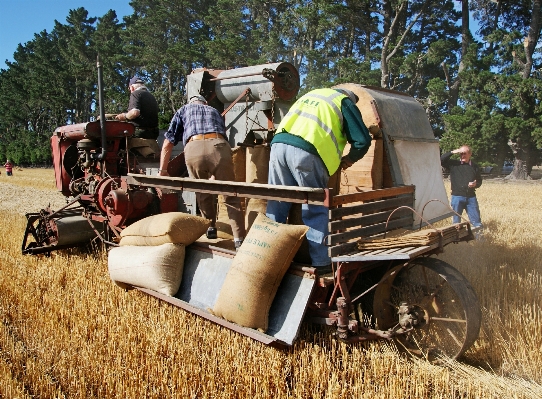 Traktör alan çiftlik hasat Fotoğraf