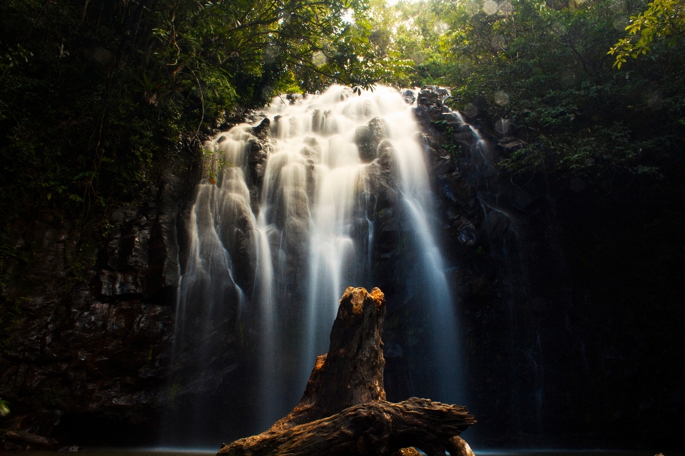 Eau nature rock cascade