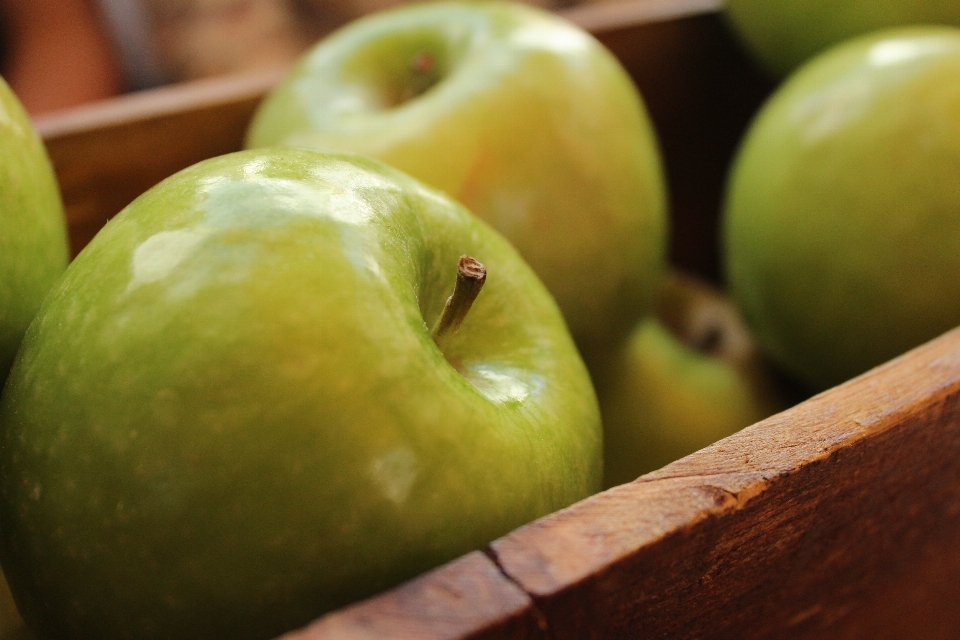 Apple 植物 水果 食物