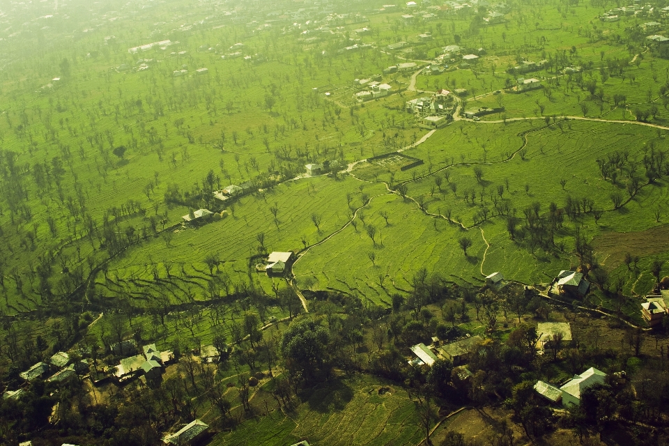 Paisagem floresta região selvagem
 montanha