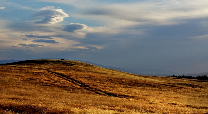 Landscape sea coast nature Photo