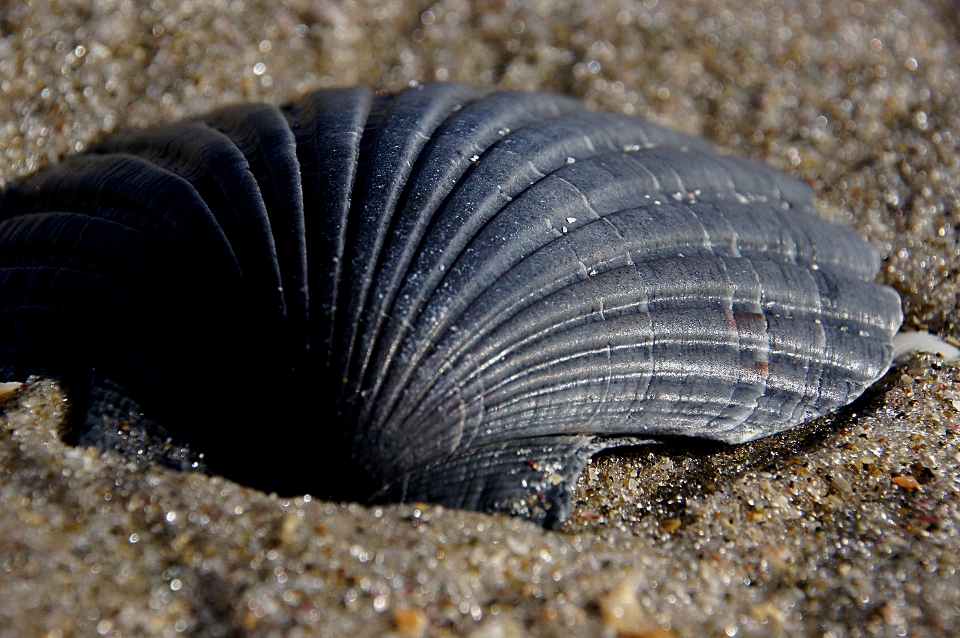 Plaża morze natura piasek