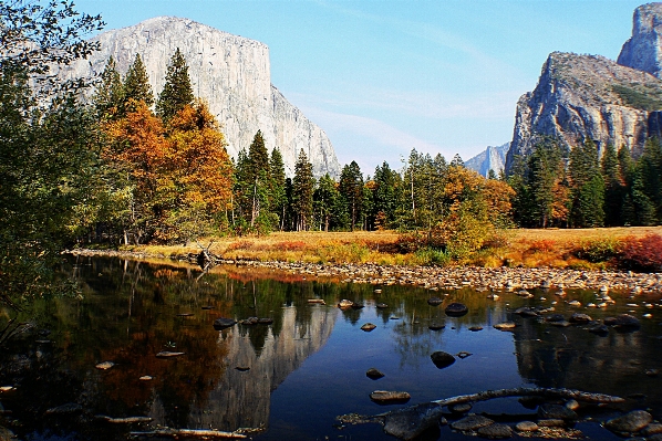 Landscape tree water nature Photo