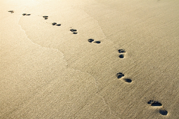 Sand wood texture floor Photo