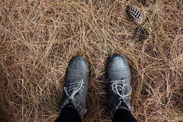 Grass shoe feet boot Photo