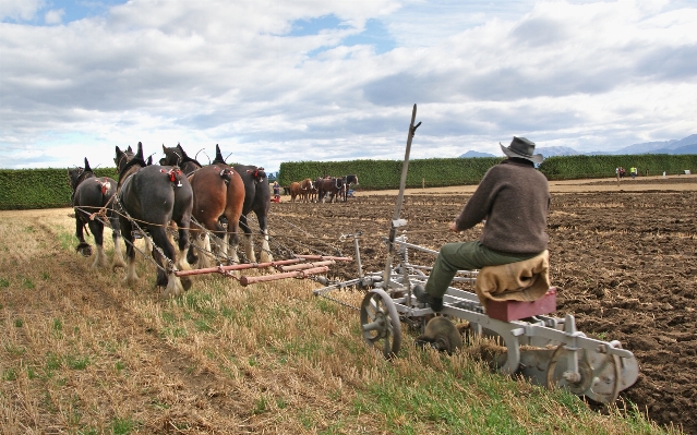 Field farm farming vehicle Photo