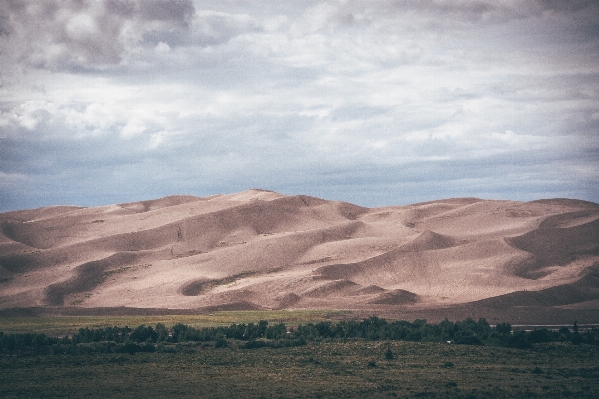 Landscape sea tree sand Photo