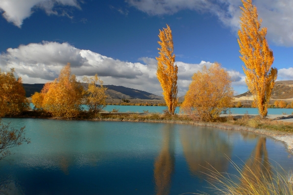 Landscape tree water nature Photo