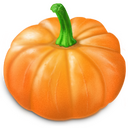 Pumpkin,fruit,food Icon