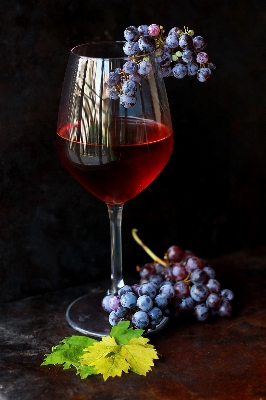 Wine flower glass food Photo