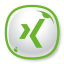 Xing,logo Icon