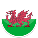 Wales,flag Icon