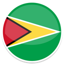 Guyana,flag Icon