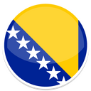 Flag Icon