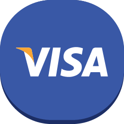 Visa, 사업, 전자상거래