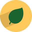 Leaf Icon