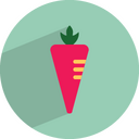 Carrot,food Icon