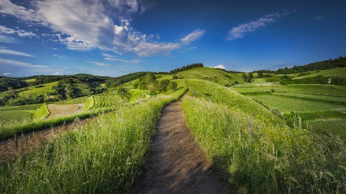 Landscape path grass mountain Photo