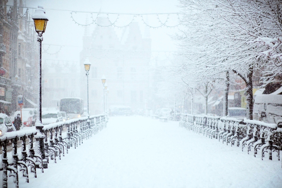 Path snow winter weather