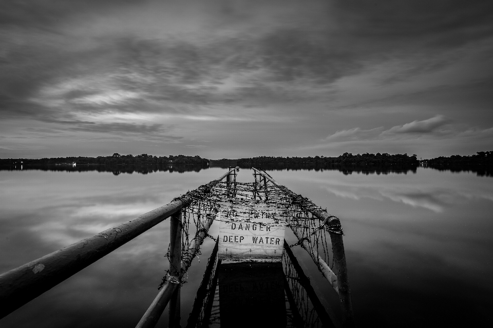 Laut hutan cakrawala awan