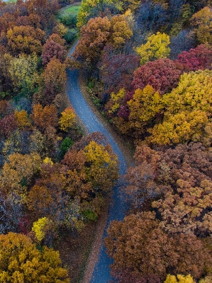 Foto Paisaje árbol naturaleza bosque