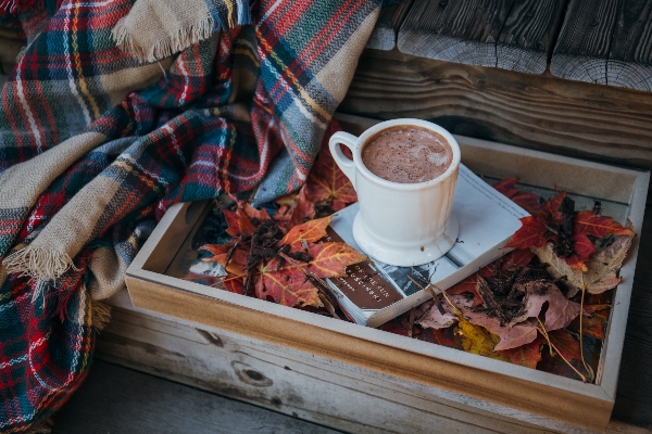 Fall cup hot chocolate meal Photo