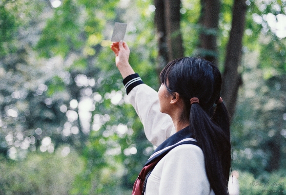 木 ボケ味
 ぼかし 女の子 写真