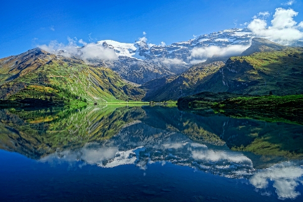 Landscape wilderness mountain meadow Photo