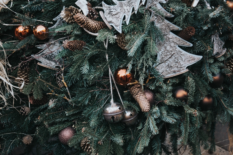 árvore pinha natal festivo